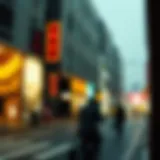 An In-Depth Look at China's REITs Landscape Introduction