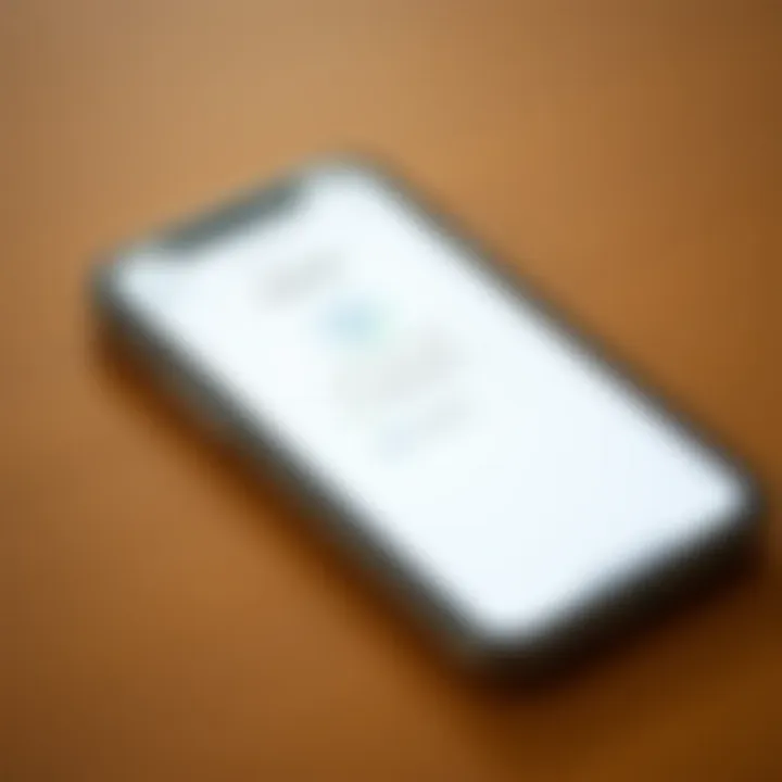 iPhone displaying user-friendly password manager interface