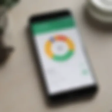 User Interface of Google’s Money Management App Overview of Google’s money management app interface