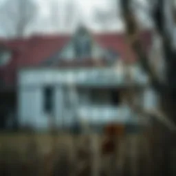 An abandoned house showcasing signs of neglect and potential
