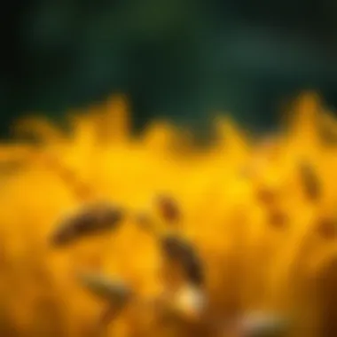 Visual representation of investment strategies