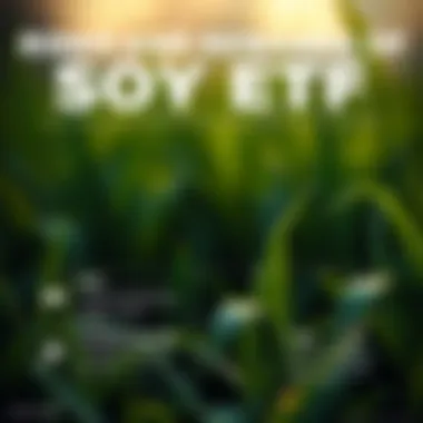 Infographic highlighting risks and rewards