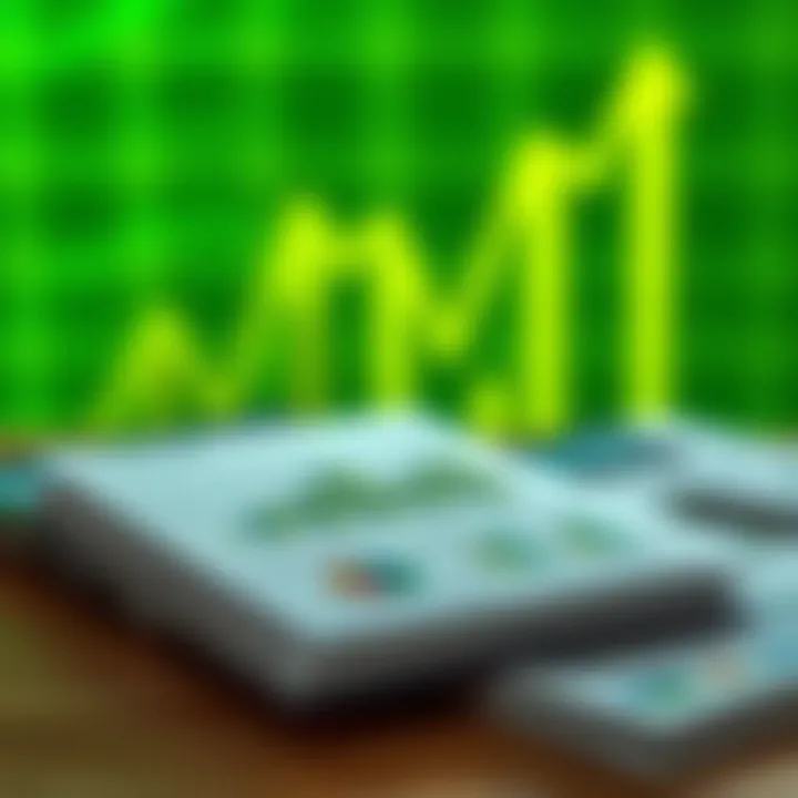 Financial Model Preparation: A Comprehensive Guide Summary