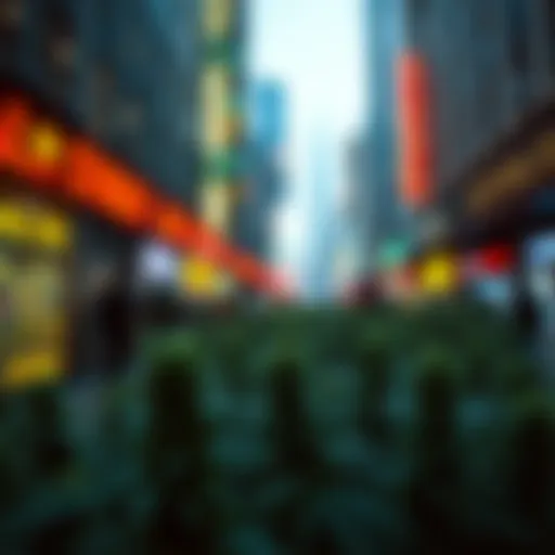 Investment Strategies: Navigating the Hemp Stock Market Introduction