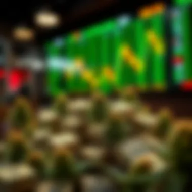 Investment Strategies: Navigating the Hemp Stock Market Summary Investment Strategies: Navigating the Hemp Stock Market Summary