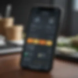 User interface of the NetSpend mobile application showcasing financial management tools