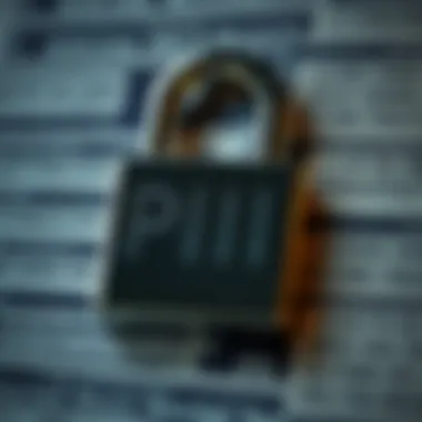 Illustration of various types of PII such as social security numbers and addresses