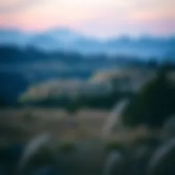 A serene landscape showcasing a tract of land ideal for a contract