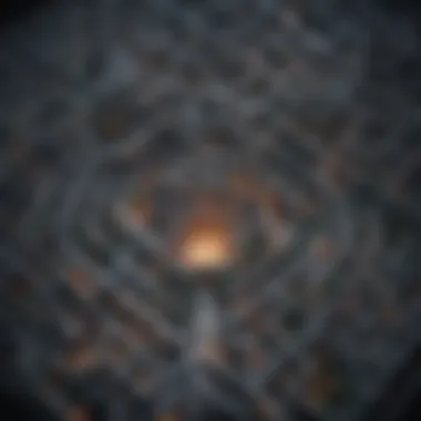 The Appeals Maze An illustration of a complex maze symbolizing the appeals process