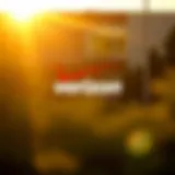 Understanding Verizon's Dividend Schedule Introduction