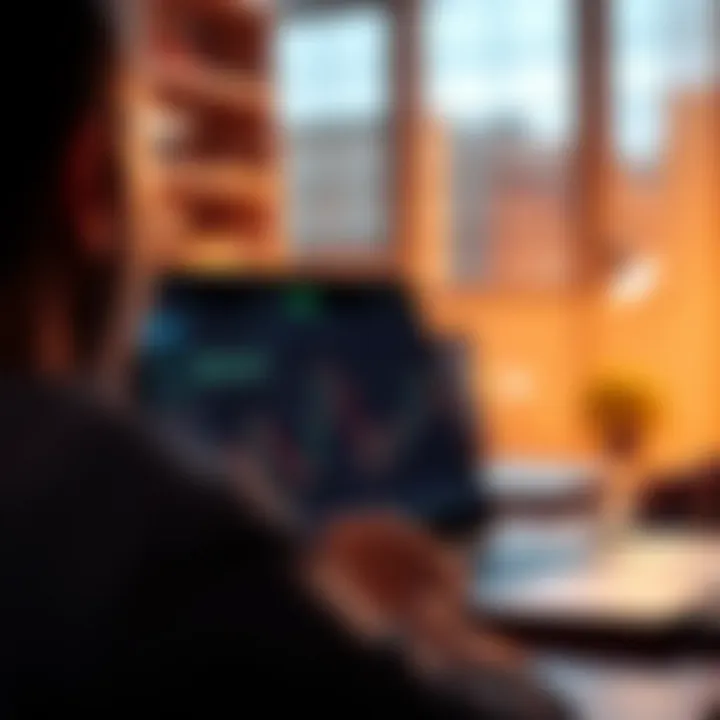 Web-Based Software: An In-Depth Exploration Summary